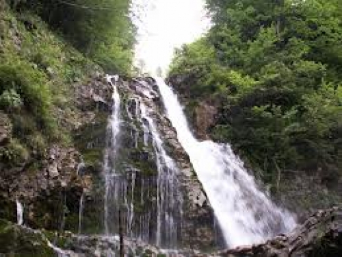 Cascada Urlatoarea poza